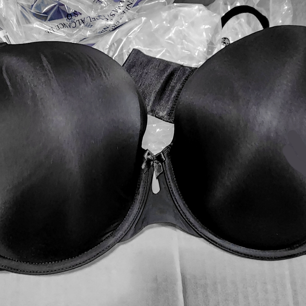 Torrid Tshirt Bra 42C